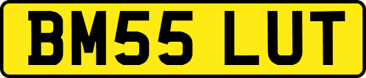 BM55LUT