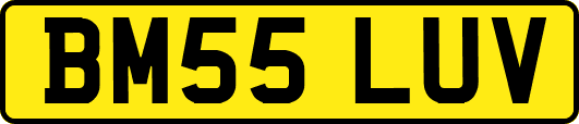 BM55LUV
