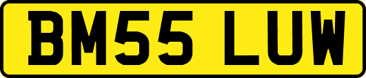 BM55LUW