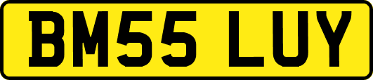 BM55LUY