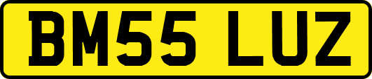 BM55LUZ