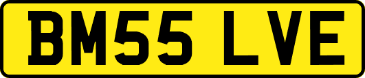 BM55LVE