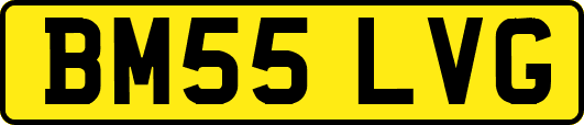 BM55LVG
