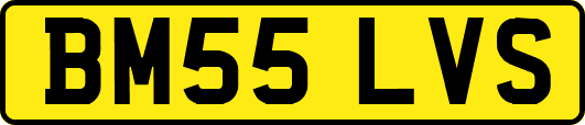 BM55LVS