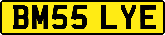 BM55LYE