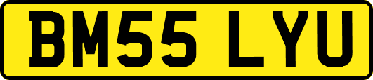 BM55LYU