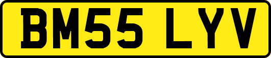 BM55LYV