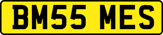 BM55MES