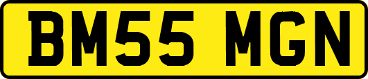BM55MGN