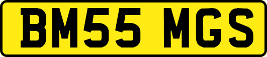 BM55MGS
