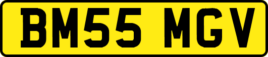BM55MGV
