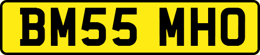 BM55MHO
