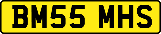 BM55MHS