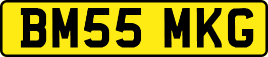 BM55MKG