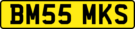 BM55MKS