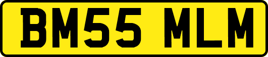 BM55MLM