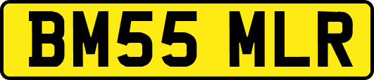 BM55MLR