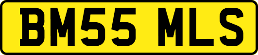 BM55MLS