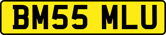 BM55MLU