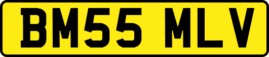 BM55MLV