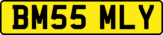 BM55MLY