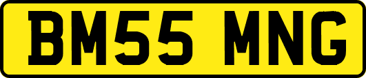 BM55MNG