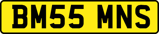 BM55MNS