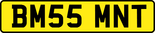 BM55MNT