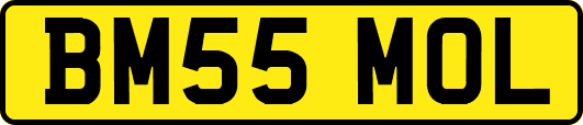 BM55MOL