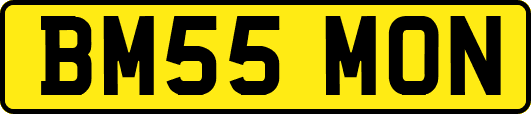 BM55MON