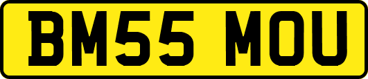 BM55MOU