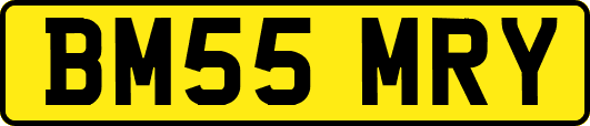 BM55MRY
