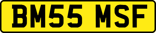 BM55MSF