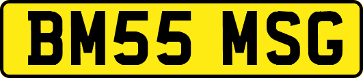 BM55MSG