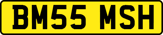 BM55MSH