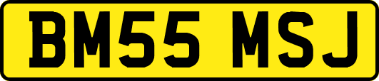 BM55MSJ