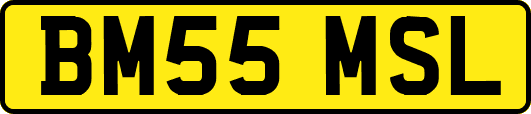 BM55MSL