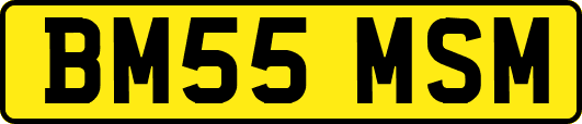 BM55MSM