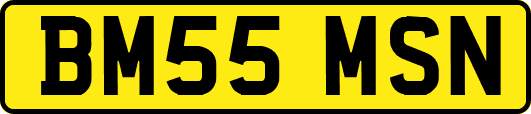 BM55MSN