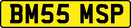 BM55MSP