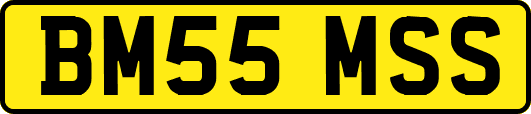 BM55MSS