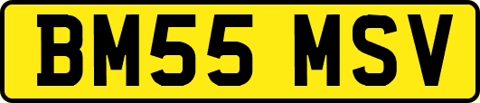 BM55MSV