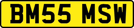 BM55MSW