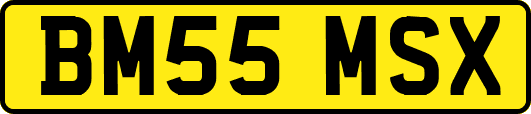 BM55MSX