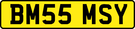 BM55MSY