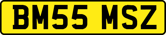 BM55MSZ
