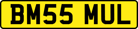 BM55MUL
