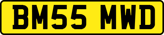 BM55MWD