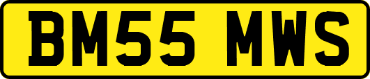BM55MWS