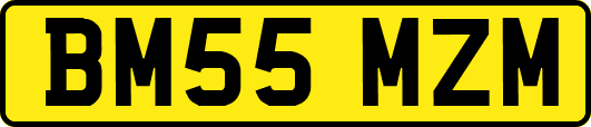 BM55MZM
